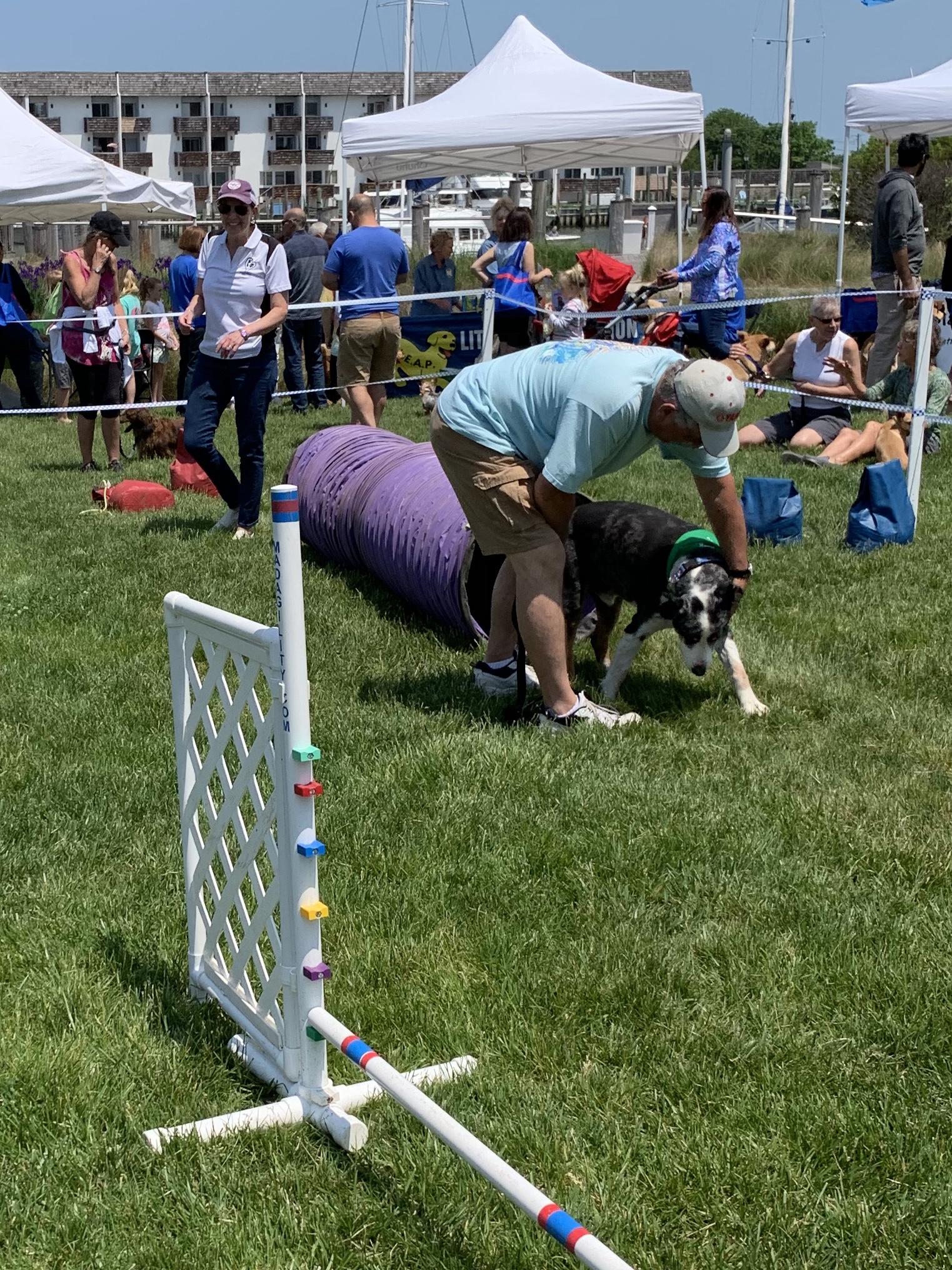 Pooches at the Park 5/18/2019 Blue Heron Agility Association of Delaware